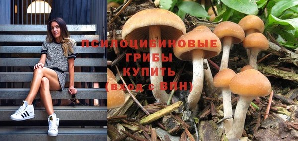 соль курить ск Михайловка