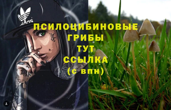 PSILOCYBIN Гусев