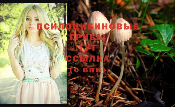 прущие крисы Михайловск