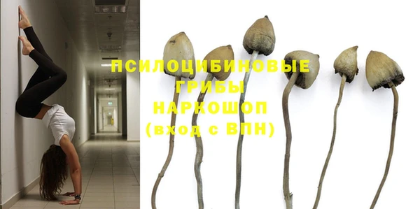 дживик Навашино