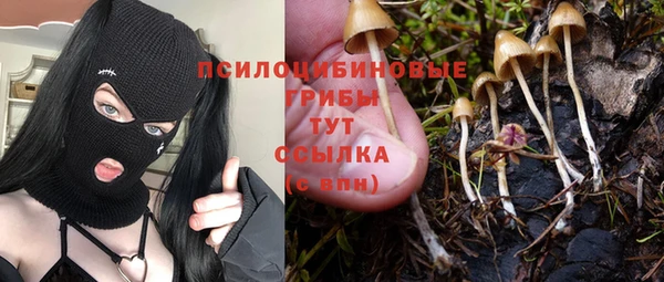 прущие крисы Михайлов