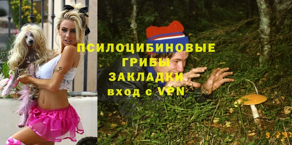соль курить ск Михайловка