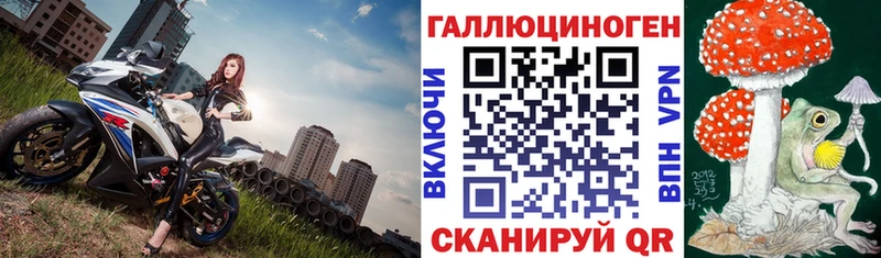 закладки  Козьмодемьянск  Галлюциногенные грибы Psilocybine cubensis 